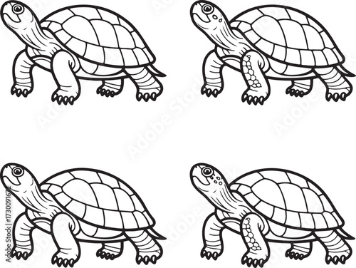 Set of Tortoise Outline vector illustration isolated On Transparent Background