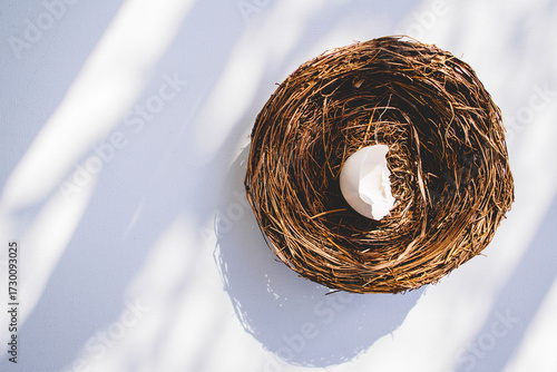 broken egg in nest from above