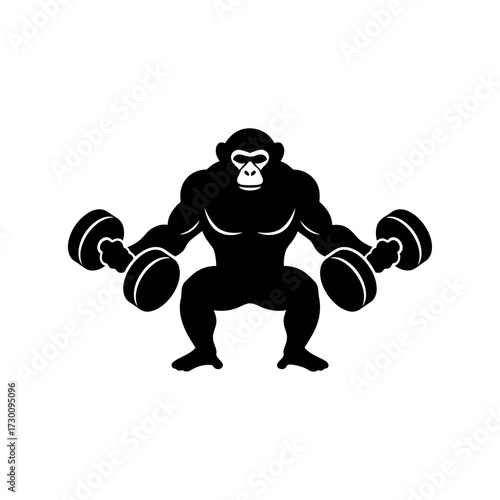 Silhouette of a muscular gorilla squatting and holding dumbbells animal fitness
