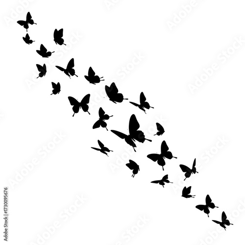 Vector art of a graceful swarm of butterflies in silhouette, creating a mesmerizing visual display of natures beauty and freedom, symbolizing transformation and delicate elegance