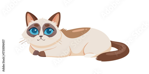 Adorable Snowshoe Cat with Striking Blue Eyes Perched on White Surface.