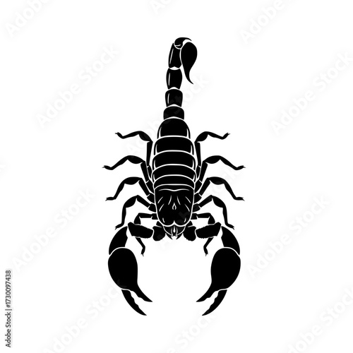 Vector art of a detailed illustration of a scorpion, showcasing its segmented body, powerful claws, and venomous stinger, capturing its predatory nature