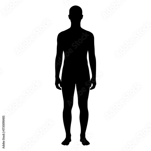 Vector art of silhouette of a standing human figure, representing the essence of humanity, individuality, and the universal form of the human body