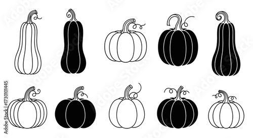 Monochrome Pumpkins: Autumn Harvest