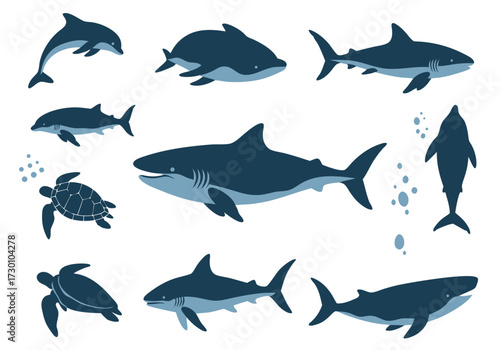 Marine Wildlife Collection Sharks, Dolphins and Turtles Illustrations