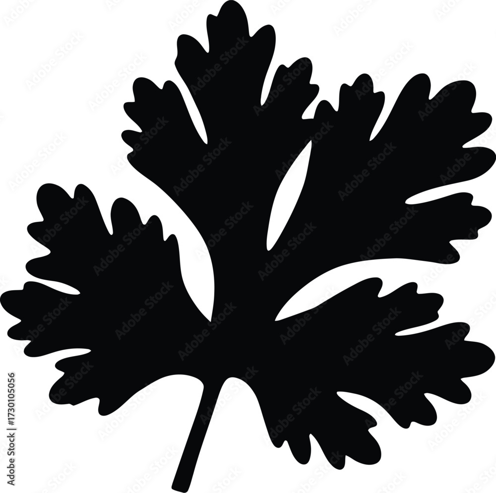 Obraz premium Black silhouette of a detailed parsley leaf vector graphic