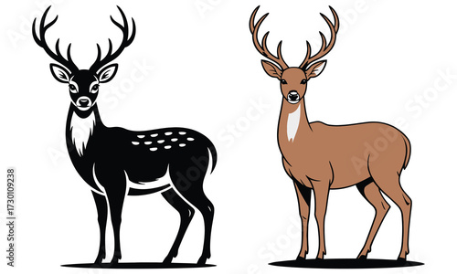 set of deer