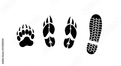 Illustrative Representation of Diverse Animal and Human Footprints Showcasing Different Trace Evidence and Tracking Possibilities