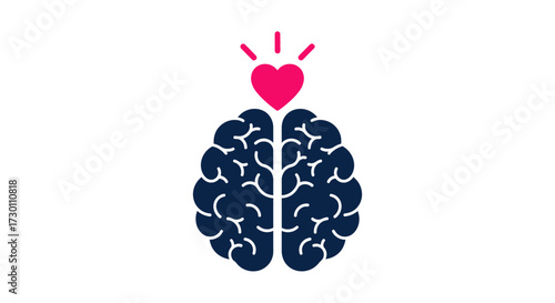 Understanding the Symbiotic Relationship Between the Human Brain and Emotional Well Being A Deep Dive Into Cognitive and Affective Health
