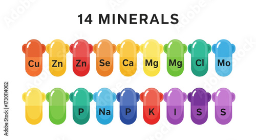 Understanding Essential Minerals for Human Health and Nutrition They Play Crucial Roles in Body Functions