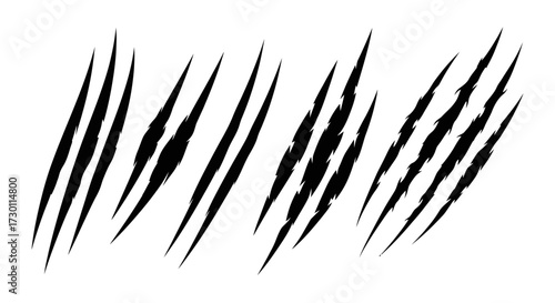 Abstract Black Claw Marks on White Background Illustrating Wild Animal Attacks or Grunge Textures