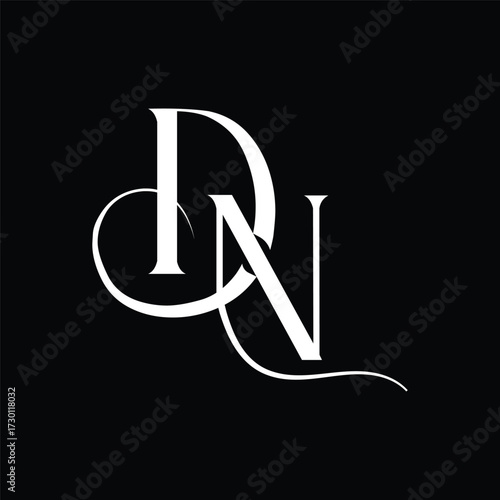 Initial letter DN logo design 