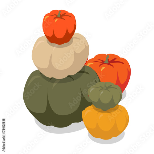 Stacked Squash and Gourds on White Background for Autumn Harvest and Fall Decoration