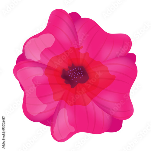 Vibrant Pink Petal Flower with Detailed Center and Soft Lighting