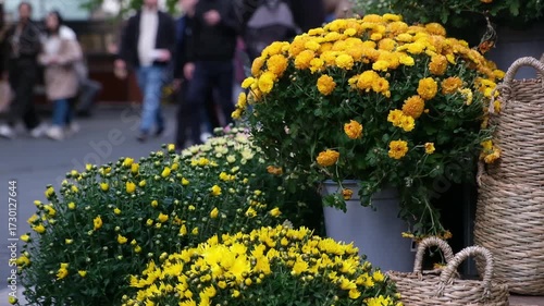 A crowded street in autumn. An autumn walk. A lively autumn street. 