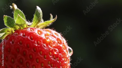 Ripe strawberry gleaming with delicate details