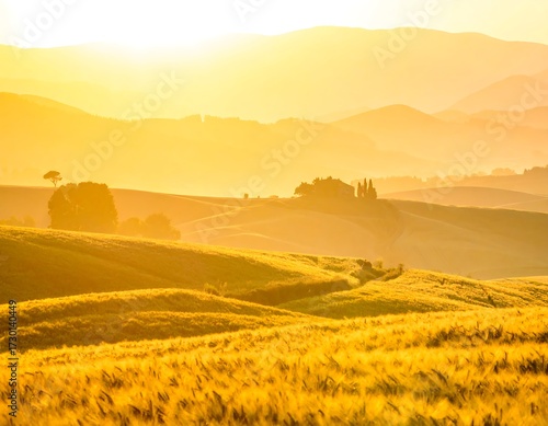 Golden sunrise bathes rolling hills and fields of grain in warm light