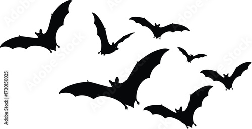 Flying bats silhouette illustration, spooky Halloween bats, horror night bat design