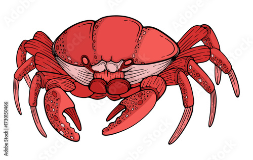 Red Crab sea monster vintage drawing illustration. Can be used for t-shirts, merchandise, screen printing and music festival activities