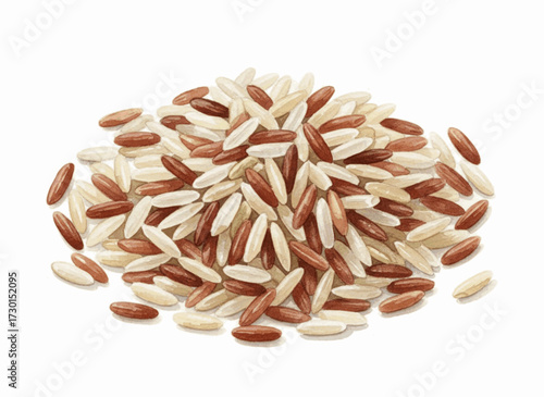 Humble Grain brown rice isolated watercolor vector illustration svg