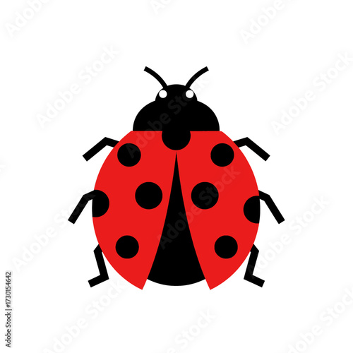 Cute red ladybug cartoon illustration with black spots isolated on a white background. Simple flat vector design icon of a ladybird beetle