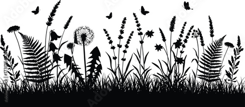 Wild meadow grass and flower silhouettes with butterflies, botanical nature vector illustration, floral design elements, natural garden plants artwork, isolated