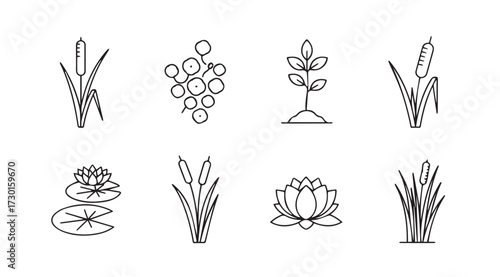 Vector art of pond plants
