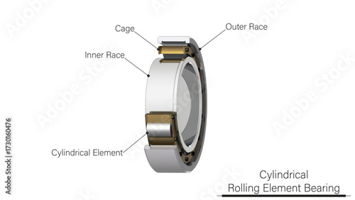 Cylindrical roller element bearing illustration showing the inner race, cage, elements, and outer race