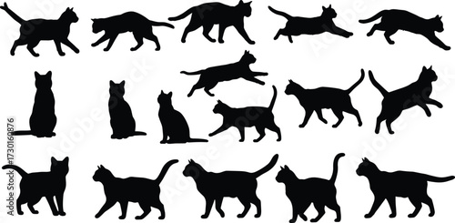 Black cat silhouettes in walking, sitting, running poses, domestic feline vector illustration, pet animal design for halloween, decoration, artwork isolated