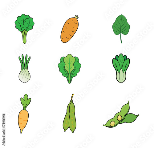 9 set of vegetables