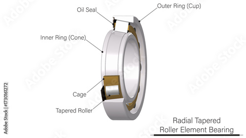 Tapered Roller Element Bearing (Ball Bearing) Illustration showing inner raceway, elements, cage, and outer raceway