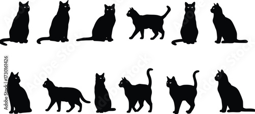 Black cat silhouettes collection with yellow eyes, sitting and walking feline vector illustration, spooky pet animal design for halloween decoration isolated