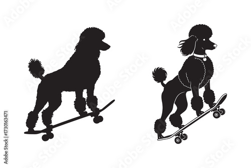Poodle on Skateboard Silhouette Action and Style
