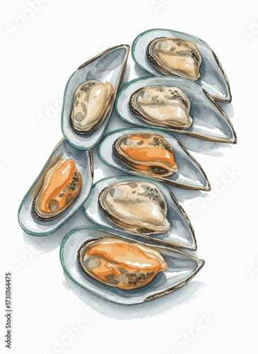 Tidal Hues mussels isolated watercolor vector illustration svg