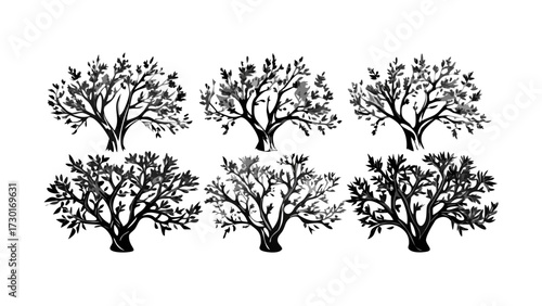 Elegant olive tree silhouettes, perfect for Mediterranean themes, nature designs, or rustic branding, bringing a touch of timeless beauty, originally vector graphics
