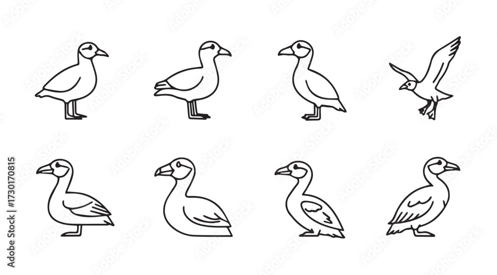 Fototapeta premium Vector art of birds isolated on white