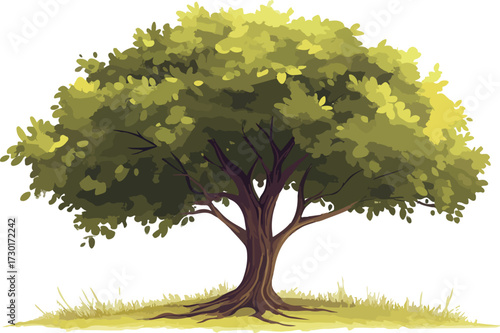 Vibrant green leafy deciduous tree with strong roots on a grassy patch isolated on white