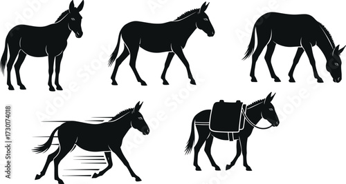 PrintSilhouette donkey illustration, farm animal vector, grazing donkey, walking donkey, running donkey, pack donkey, livestock graphic, agriculture design