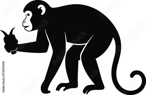 PrintSilhouette monkey holding banana, animal wildlife illustration, tropical jungle design, playful primate artwork, minimal vector graphic, exotic nature concept, , 