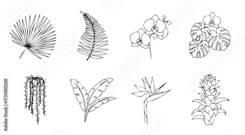 Vector art of tropical plants on white