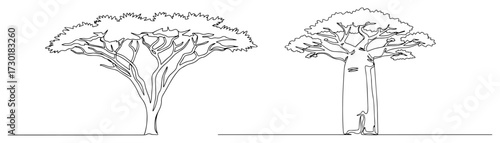African Acacia and Baobab Trees Drawn in a Continuous Line
