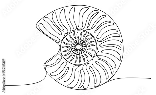 Ammonite Fossil Shell Spiral Continuous Line Drawing