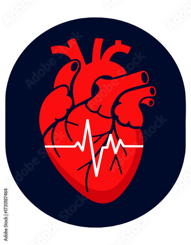 Human Heart Organ Medical Healthcare Concept EKG Pulse Line