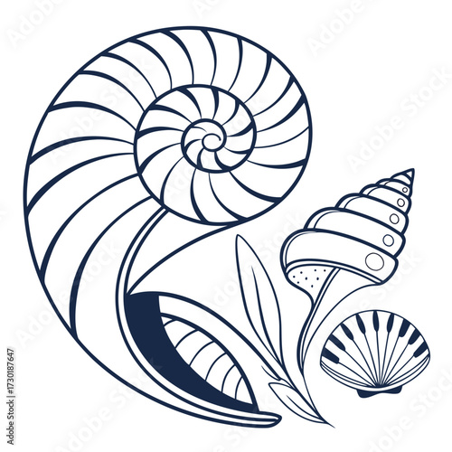 Elegant navy blue line art illustration featuring a nautilus shell a spiraled seashell a fan shell and aquatic plant elements on a clean white background