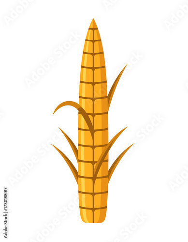 Fresh Corn Cob Isolated Farm Produce Maize Crop Illustration