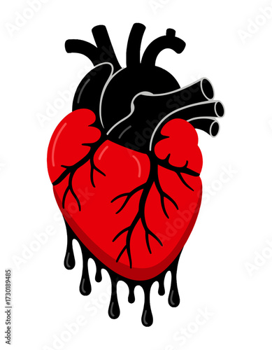 Anatomical Heart Blood Vessel Simple Line Diagram
