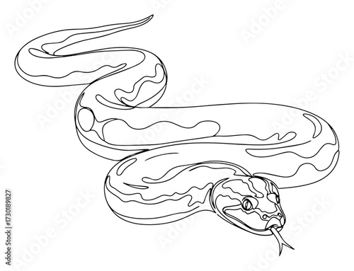 Python Snake Coiled with its Tongue Out Continuous Line Art