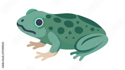 Illustration of a green frog with dark green spots sitting with its legs tucked under its body shape