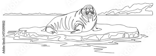 Continuous One Line Drawing of a Walrus on an Ice Floe
