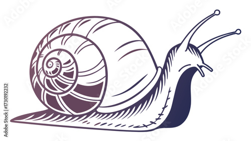 Illustration of a snail with a detailed shell and antennae against a white background design art